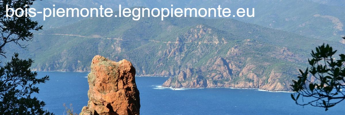 bois-piemonte.legnopiemonte.eu